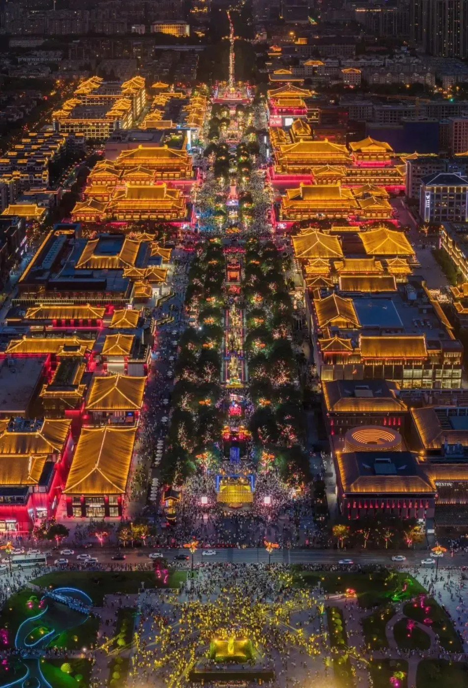 图片10