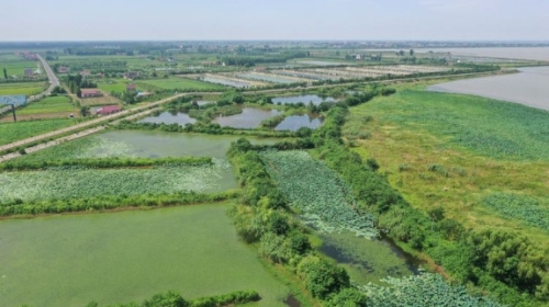 万象“耕”新 智绘“丰”景——各地春耕春管一线扫描