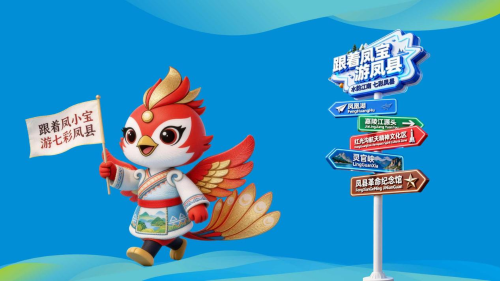 图片5 图片5
